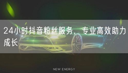 24小时抖音粉丝服务，专业高效助力成长