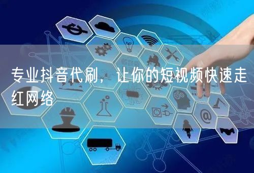 专业抖音代刷，让你的短视频快速走红网络