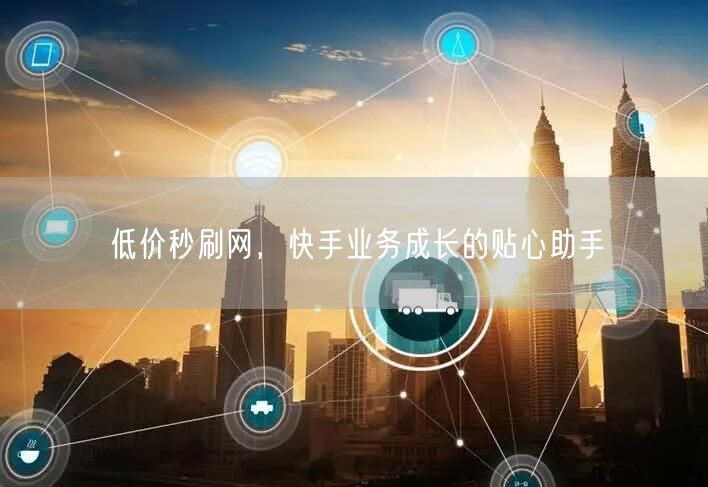 低价秒刷网，快手业务成长的贴心助手
