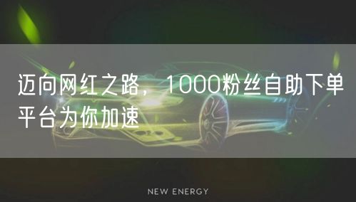 迈向网红之路，1000粉丝自助下单平台为你加速