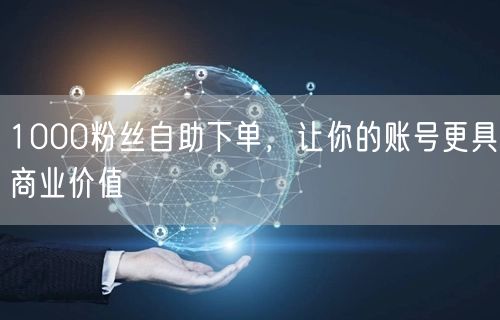 1000粉丝自助下单，让你的账号更具商业价值