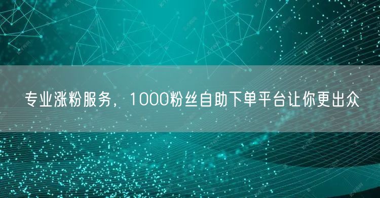 专业涨粉服务，1000粉丝自助下单平台让你更出众