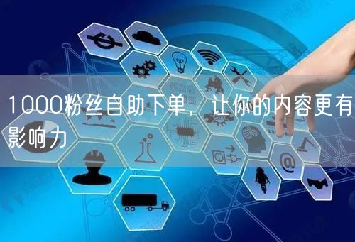 1000粉丝自助下单，让你的内容更有影响力