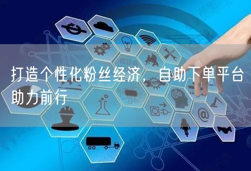 打造个性化粉丝经济，自助下单平台助力前行