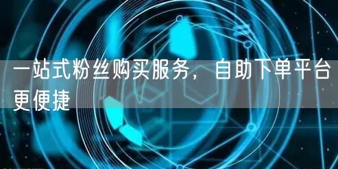 一站式粉丝购买服务，自助下单平台更便捷