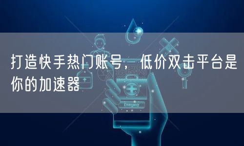 打造快手热门账号，低价双击平台是你的加速器