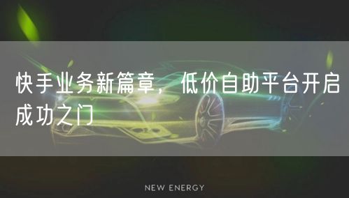 快手业务新篇章，低价自助平台开启成功之门
