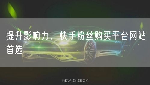 提升影响力，快手粉丝购买平台网站首选