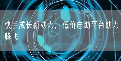 快手成长新动力，低价自助平台助力腾飞