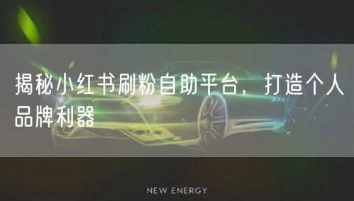 揭秘小红书刷粉自助平台，打造个人品牌利器