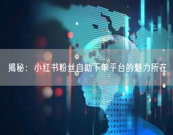 揭秘：小红书粉丝自助下单平台的魅力所在