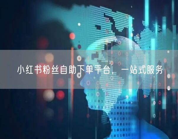 小红书粉丝自助下单平台，一站式服务