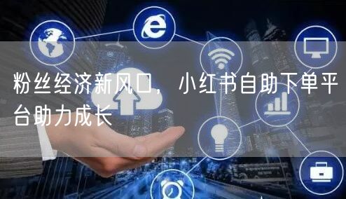粉丝经济新风口，小红书自助下单平台助力成长