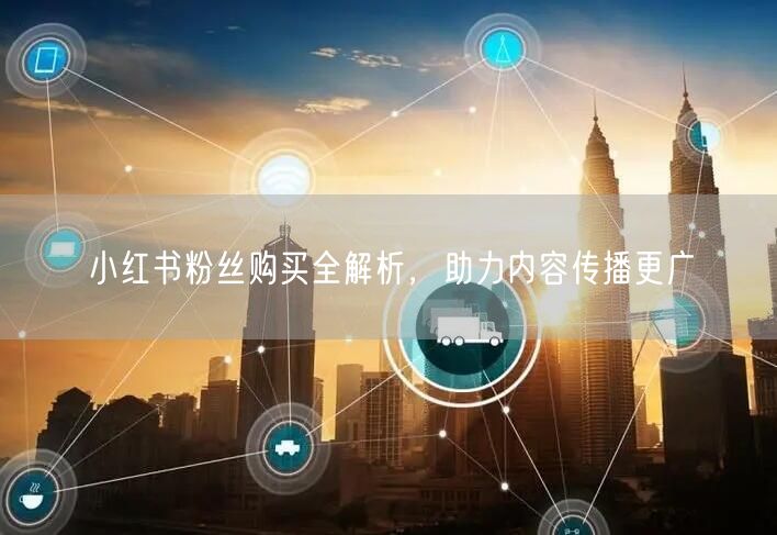 小红书粉丝购买全解析，助力内容传播更广