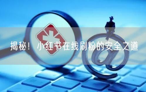 揭秘！小红书在线刷粉的安全之道