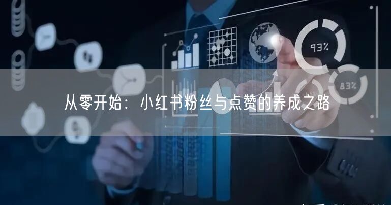 从零开始：小红书粉丝与点赞的养成之路