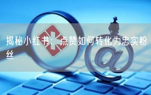 揭秘小红书：点赞如何转化为忠实粉丝