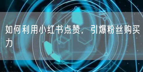 如何利用小红书点赞，引爆粉丝购买力