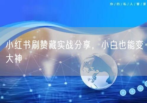 小红书刷赞藏实战分享，小白也能变大神