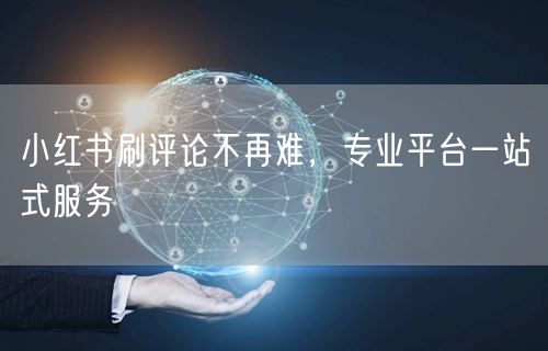 小红书刷评论不再难，专业平台一站式服务
