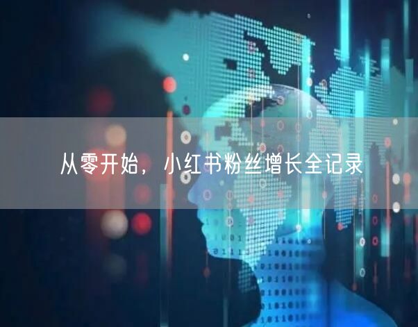 从零开始，小红书粉丝增长全记录