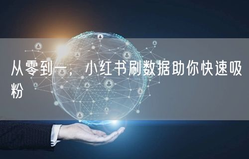 从零到一，小红书刷数据助你快速吸粉