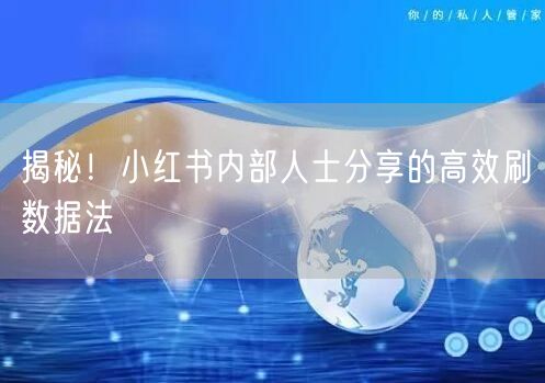 揭秘！小红书内部人士分享的高效刷数据法