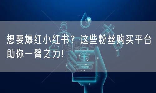 想要爆红小红书？这些粉丝购买平台助你一臂之力！