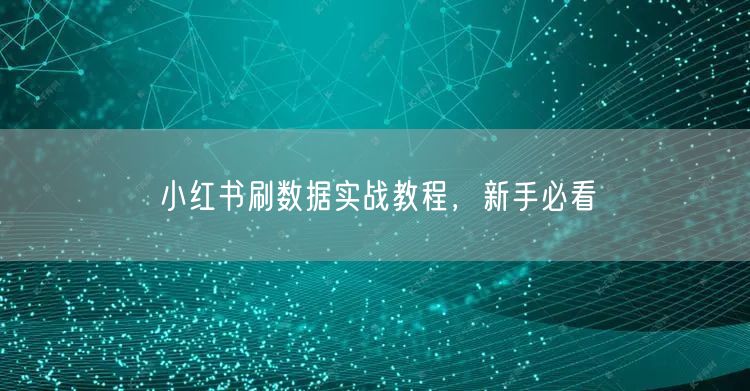 小红书刷数据实战教程，新手必看