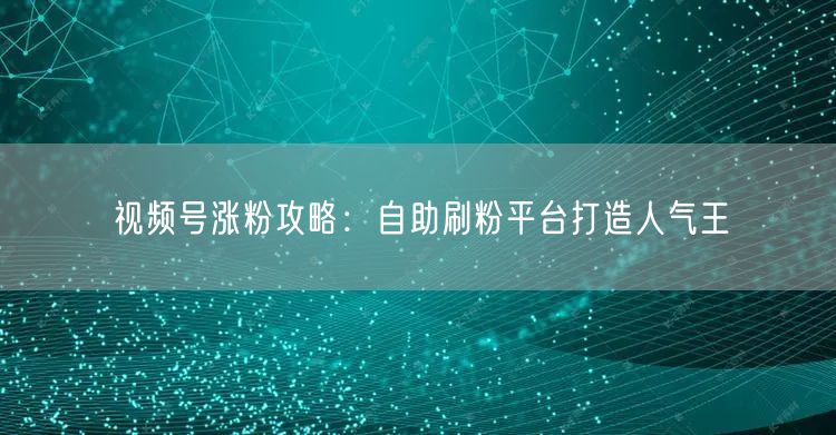 视频号涨粉攻略：自助刷粉平台打造人气王