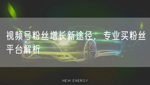 视频号粉丝增长新途径，专业买粉丝平台解析