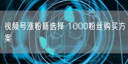视频号涨粉新选择 1000粉丝购买方案