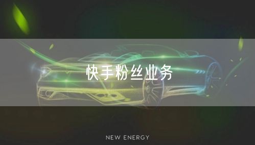 快手粉丝业务