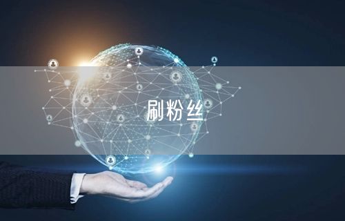 刷粉丝