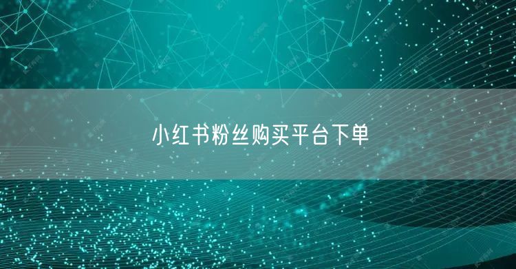 小红书粉丝购买平台下单