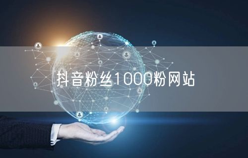 抖音粉丝1000粉网站