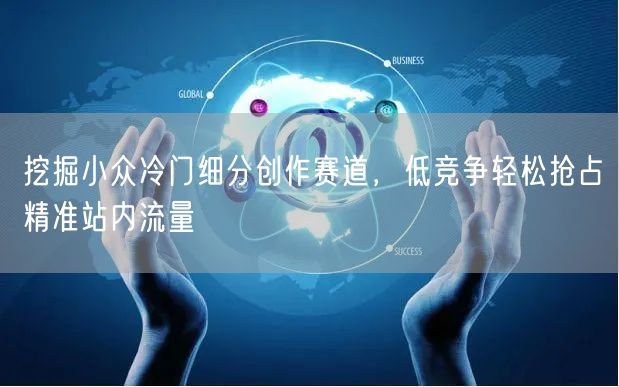 挖掘小众冷门细分创作赛道，低竞争轻松抢占精准站内流量