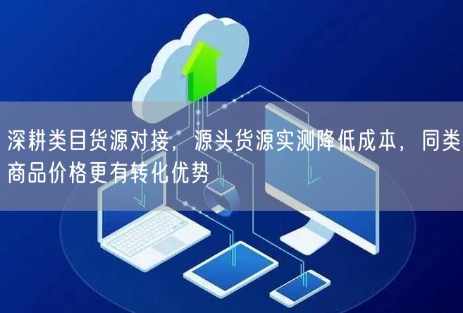 深耕类目货源对接，源头货源实测降低成本，同类商品价格更有转化优势