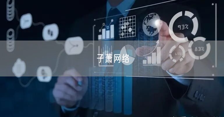 子萧网络