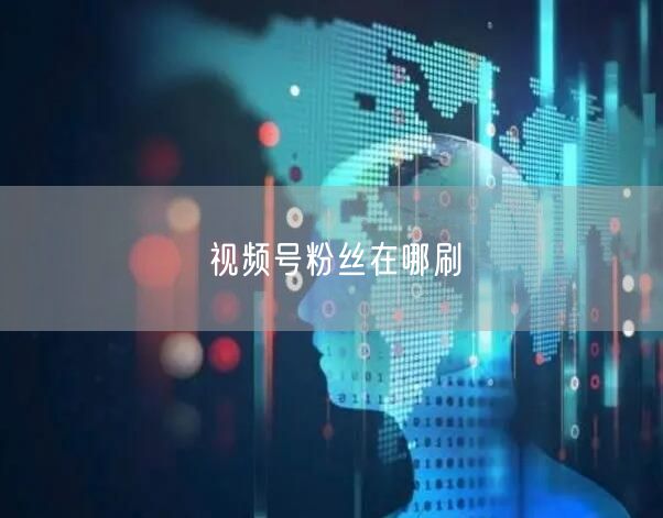 视频号粉丝在哪刷