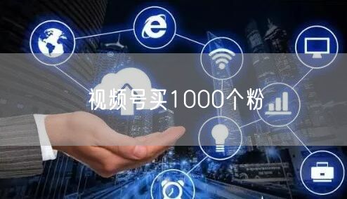 视频号买1000个粉