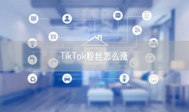 TikTok粉丝怎么涨