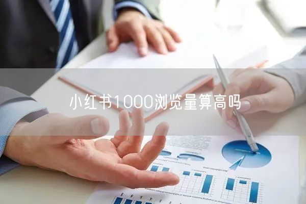 小红书1000浏览量算高吗