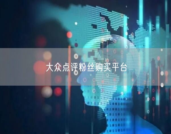 大众点评粉丝购买平台