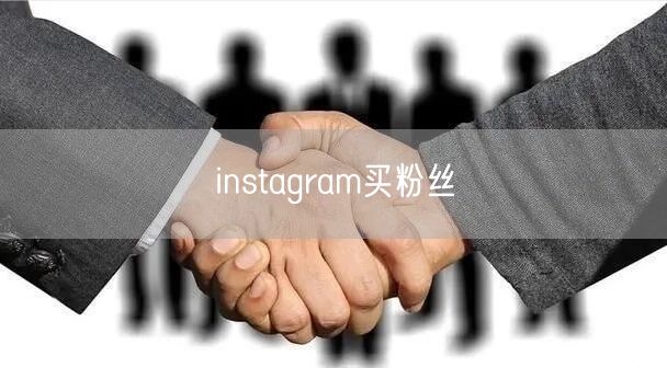 instagram买粉丝