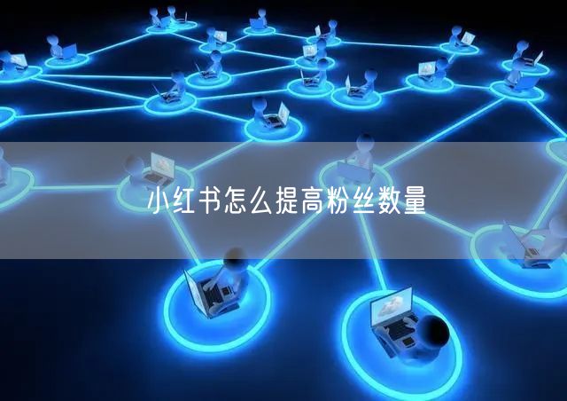 小红书怎么提高粉丝数量