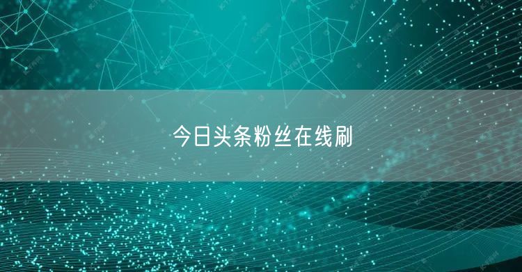 今日头条粉丝在线刷