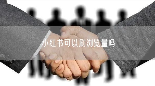 小红书可以刷浏览量吗