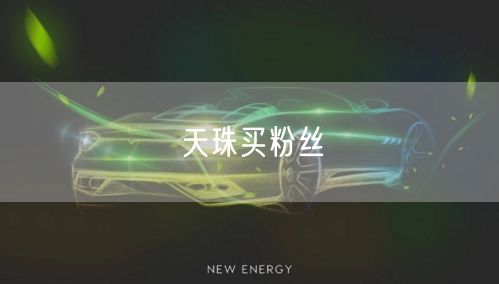 天珠买粉丝