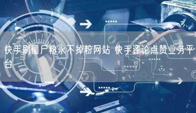 快手刷僵尸粉永不掉粉网站 快手评论点赞业务平台